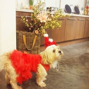 Meet your Posher, Mi sook